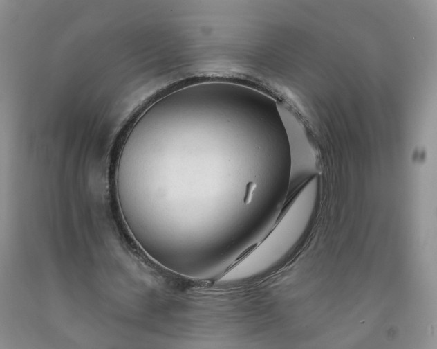 X0000091970531200709201407