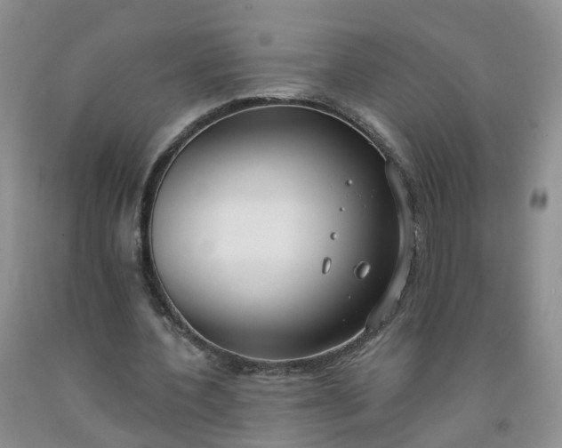 X0000091970532200709201407
