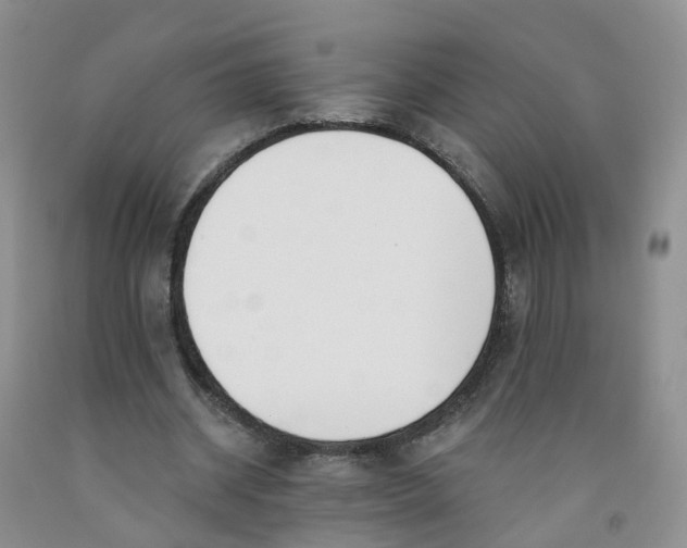 X0000091970534200709201407