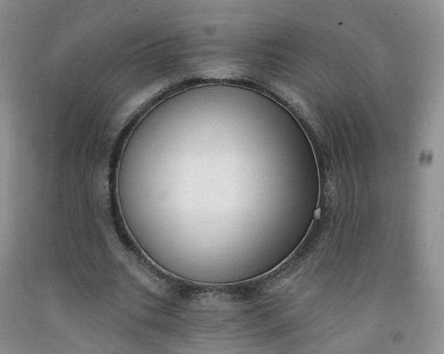 X0000091970535200709201407