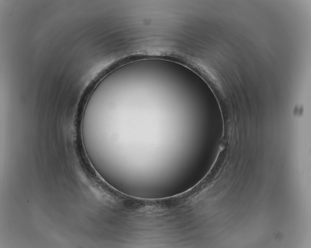 X0000091970536200709201407