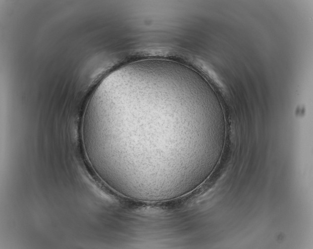 X0000091970537200709201407
