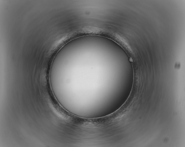 X0000091970538200709201407