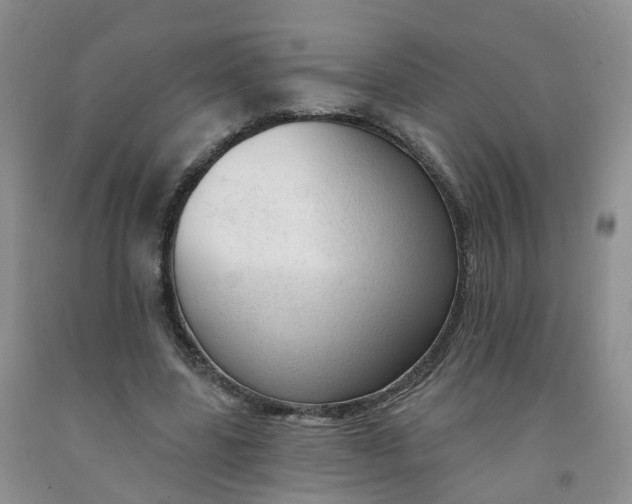X0000091970539200709201407