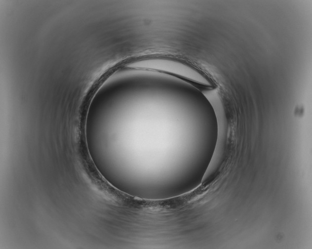 X0000091970540200709201407