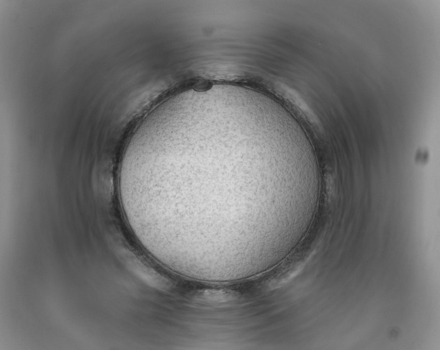 X0000091970541200709201407