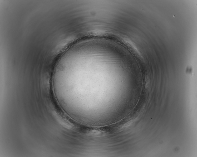 X0000091970542200709201407