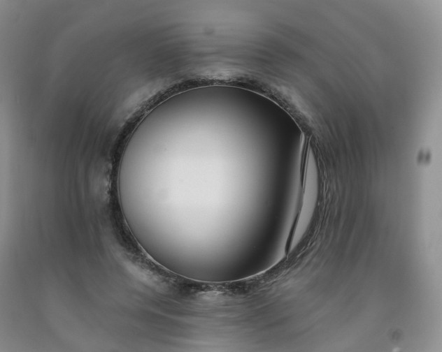 X0000091970544200709201407