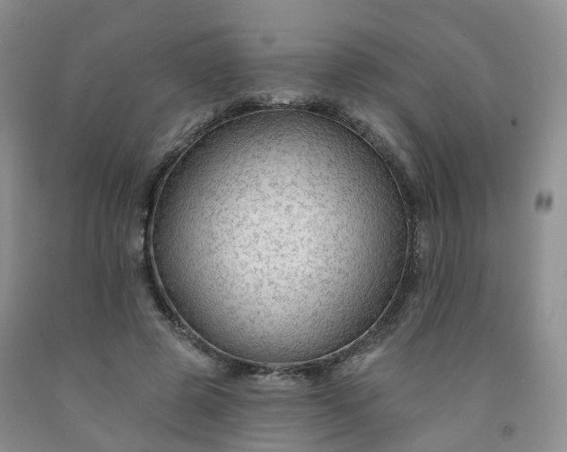 X0000091970545200709201407