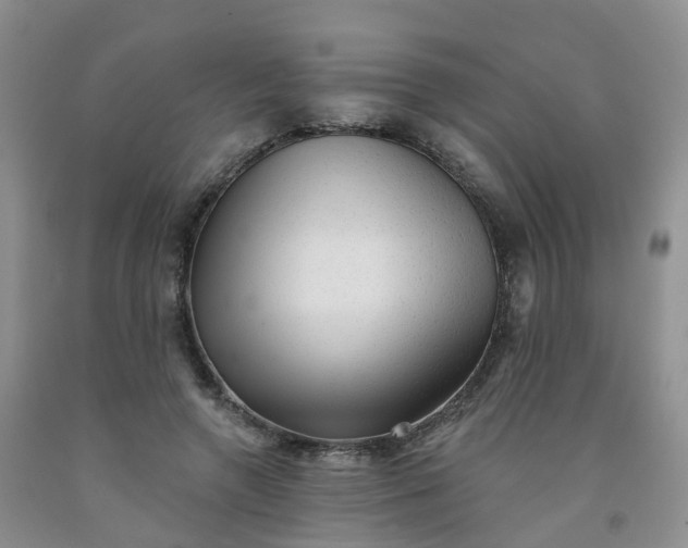 X0000091970546200709201407