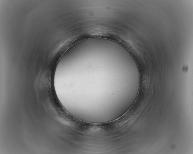 X0000091970547200709201407