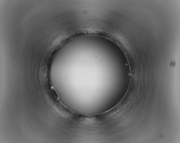 X0000091970548200709201407