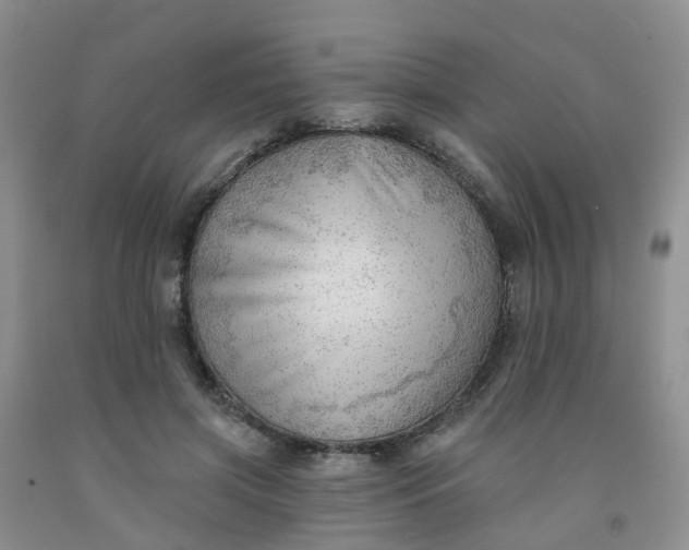 X0000091970549200709201407