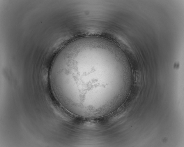 X0000091970550200709201407