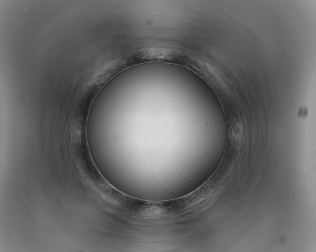 X0000091970551200709201407