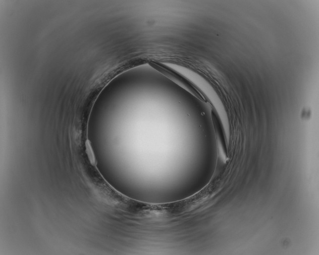 X0000091970552200709201407