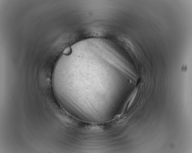 X0000091970553200709201407