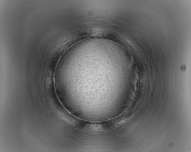 X0000091970554200709201407