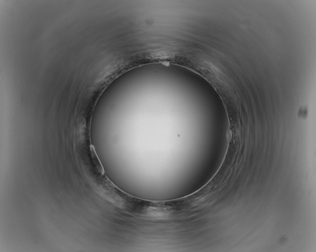 X0000091970556200709201407