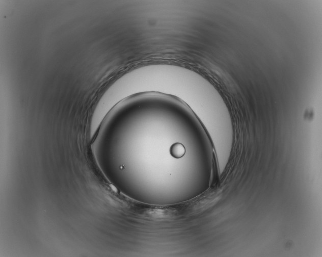 X0000091970558200709201407