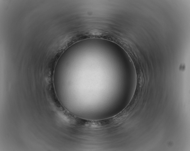 X0000091970559200709201407