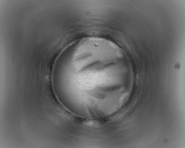 X0000091970561200709201407