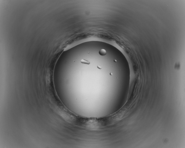 X0000091970562200709201407