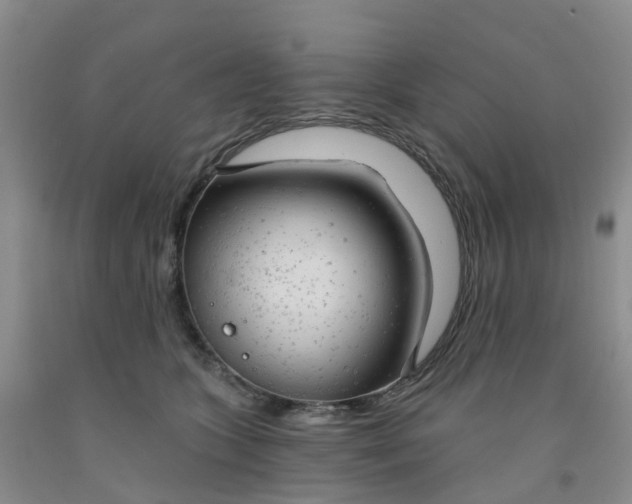 X0000091970563200709201407
