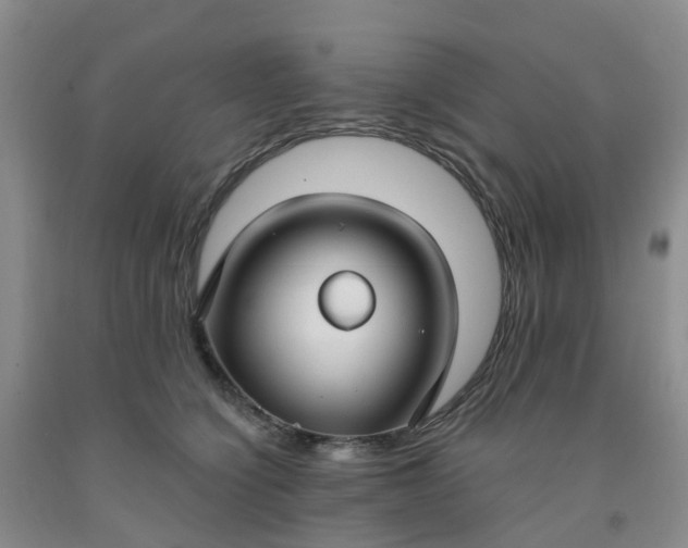 X0000091970564200709201407