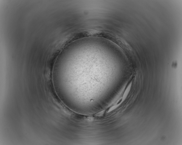 X0000091970565200709201407