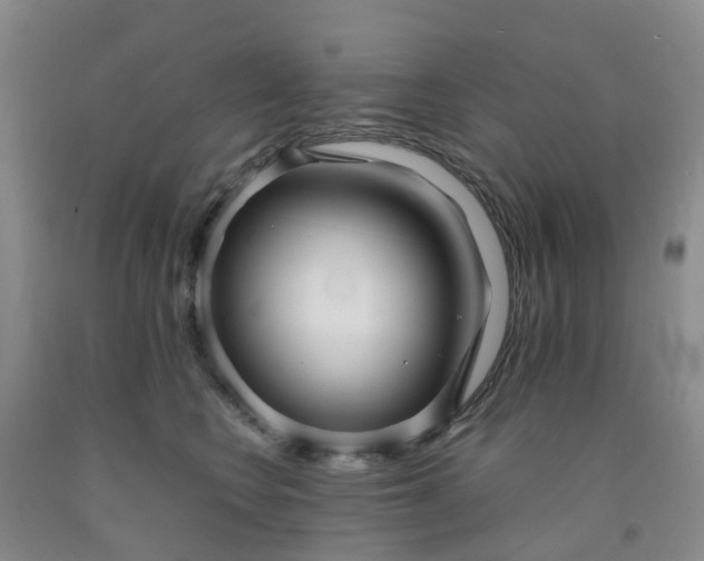 X0000091970566200709201407