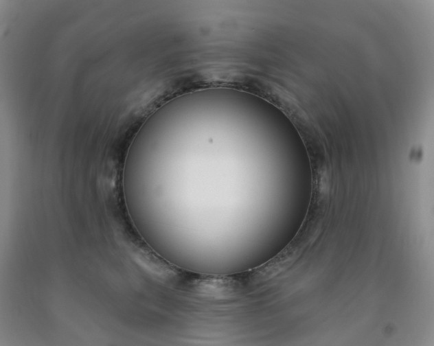 X0000091970567200709201407