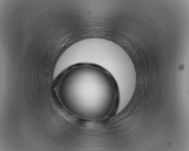 X0000091970568200709201407
