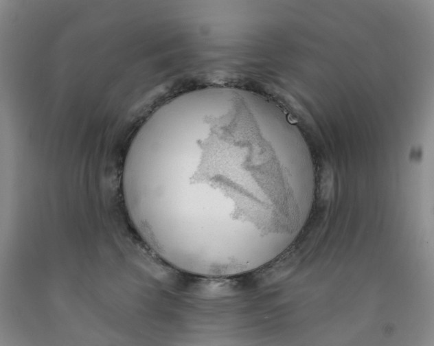 X0000091970569200709201407
