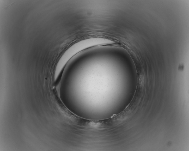 X0000091970570200709201407