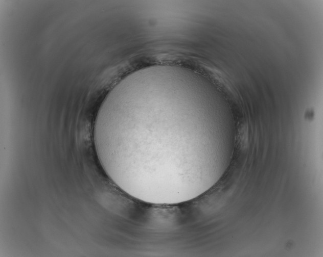 X0000091970571200709201407