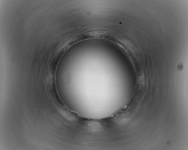 X0000091970572200709201407