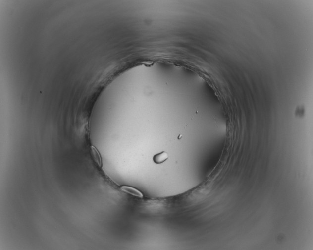 X0000091970574200709201408
