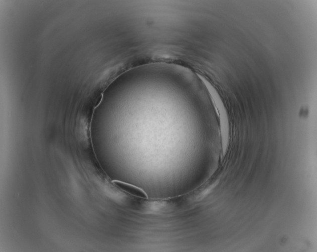 X0000091970575200709201408