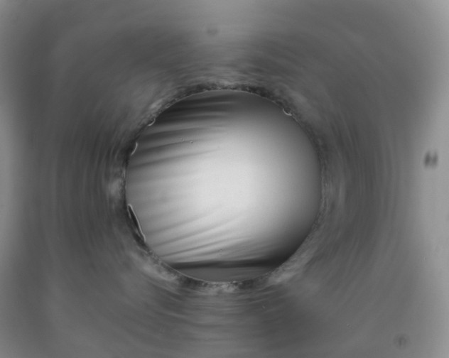 X0000091970576200709201408