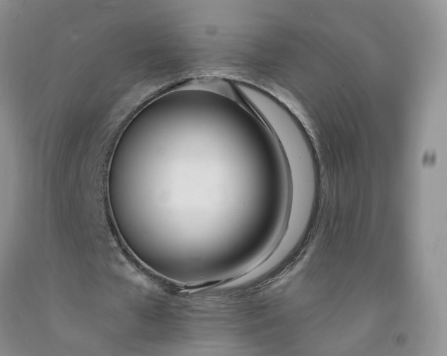 X0000091970577200709201407