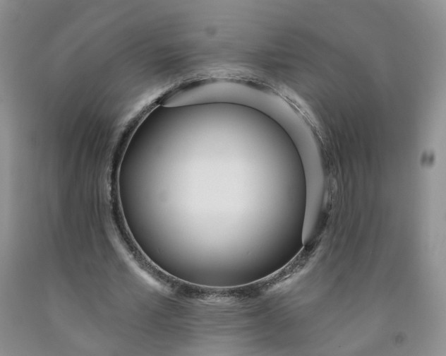 X0000091970581200709201407
