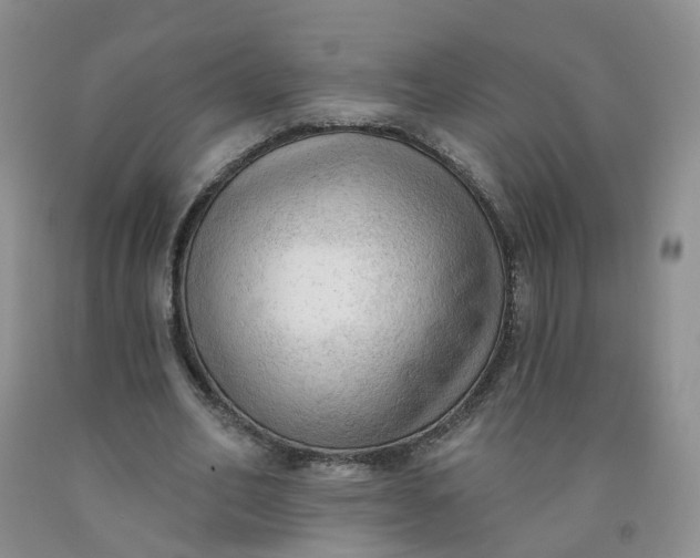 X0000091970582200709201407