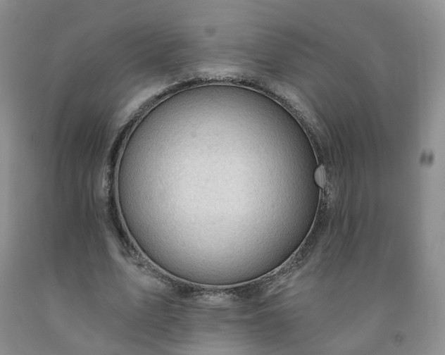 X0000091970583200709201407