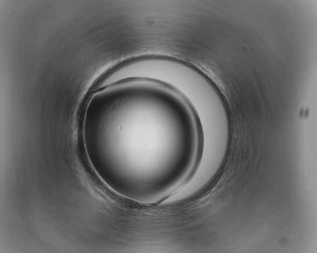X0000091970584200709201407
