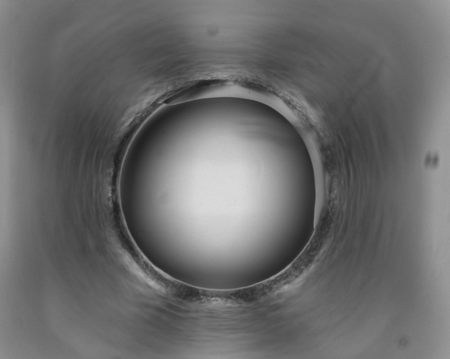 X0000091970585200709201407