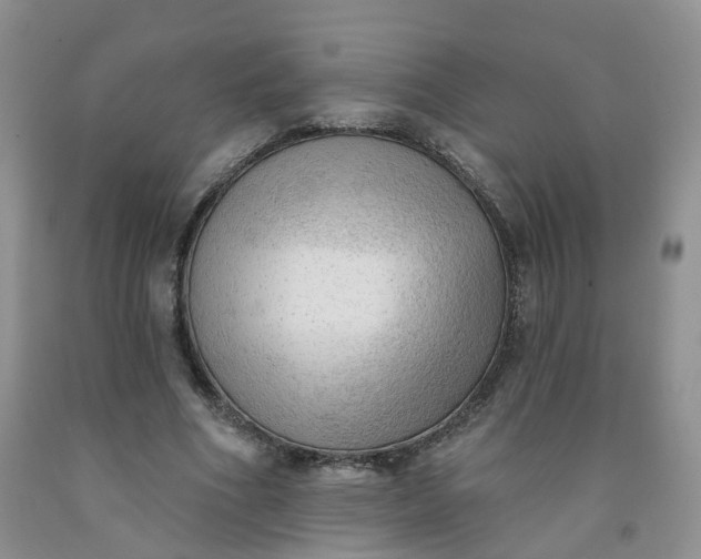 X0000091970586200709201407