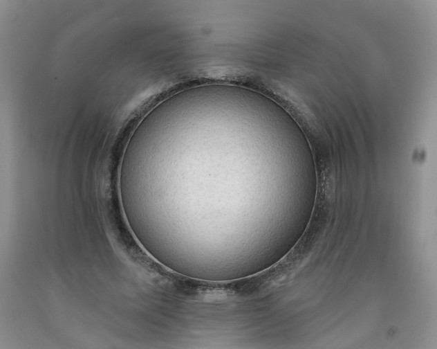 X0000091970587200709201407