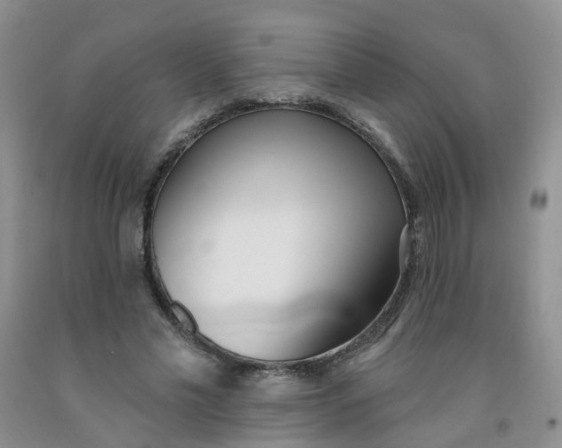 X0000091970589200709201407