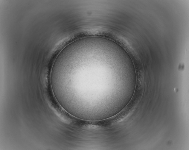 X0000091970590200709201407
